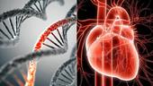 کشف ژن‌های افسردگی و بیماری قلبی