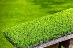 خشک شدن چمن ورزشگاه یادگار بی‌ اساس است