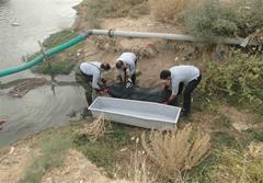 شیرجه در رودخانه جان مرد ۵۶ ساله را در شهرستان میانه گرفت